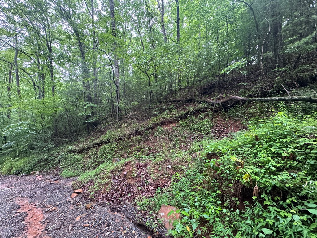 1.23 AC Bear Run Circle