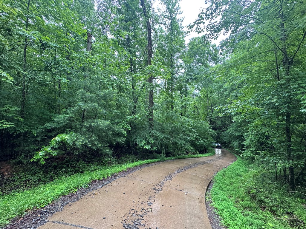 1.23 AC Bear Run Circle