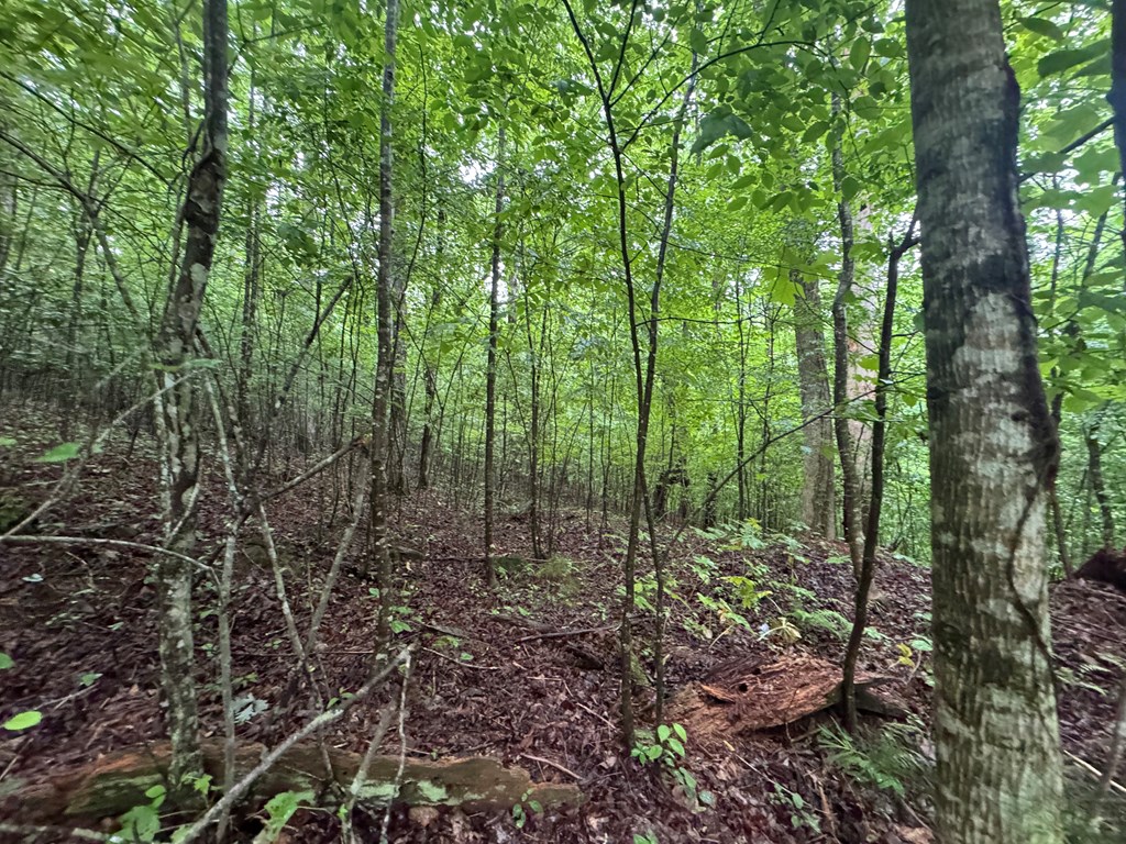1.23 AC Bear Run Circle