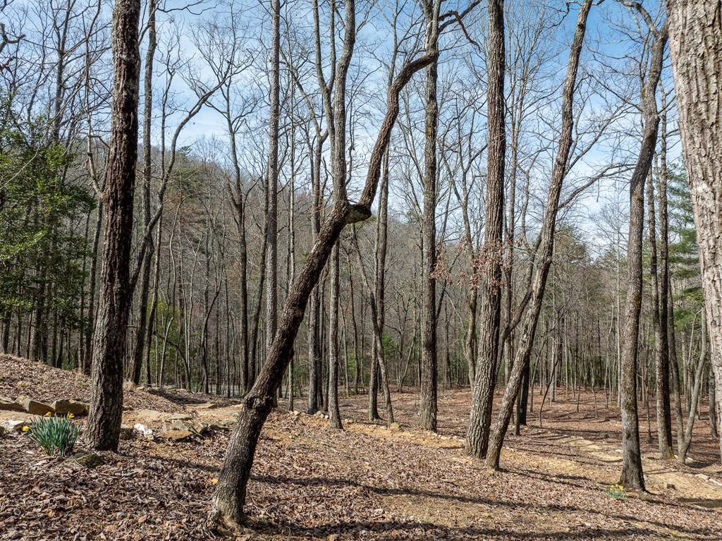 1181 Tickanetley Road