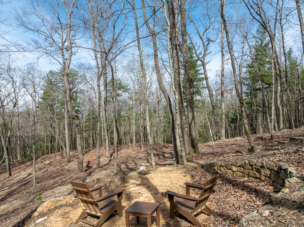 1181 Tickanetley Road