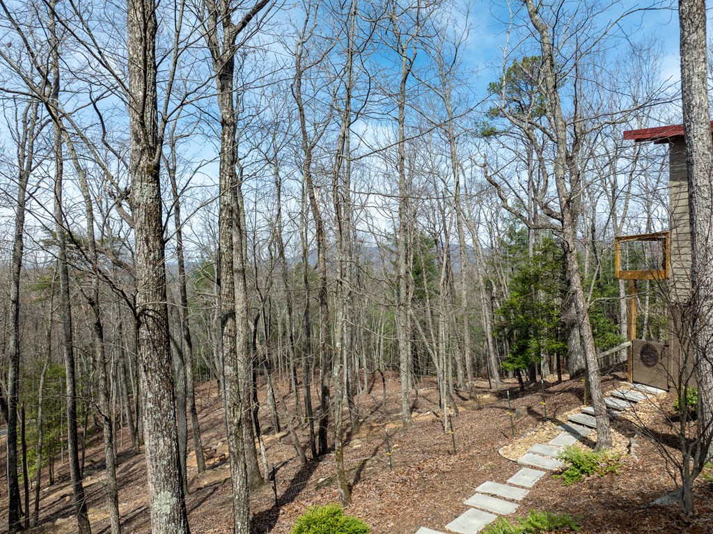 1181 Tickanetley Road