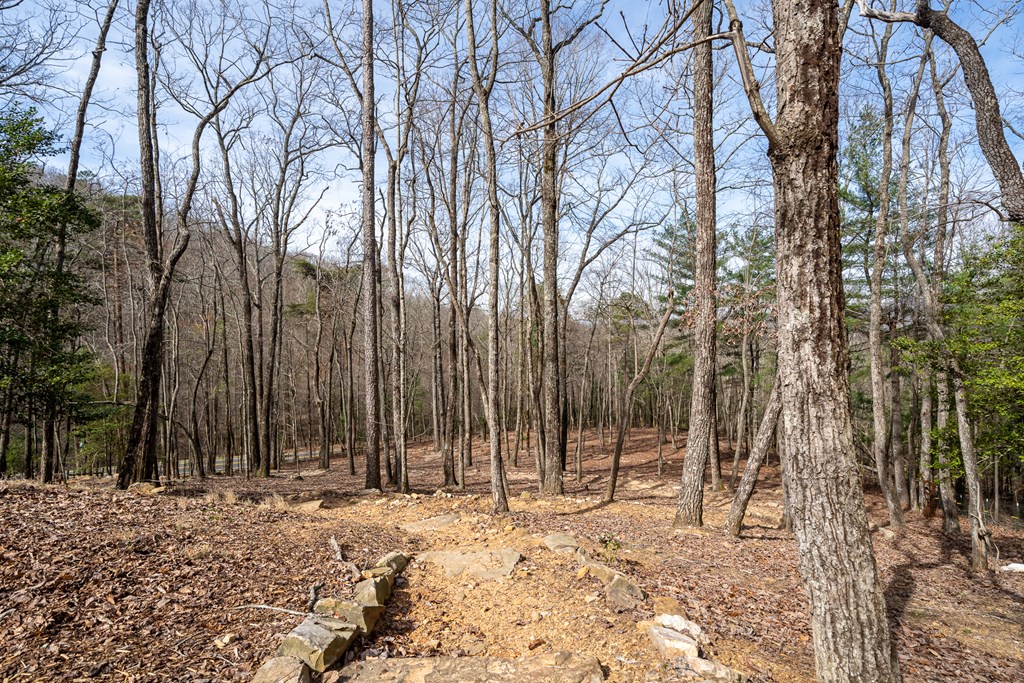 1181 Tickanetley Road