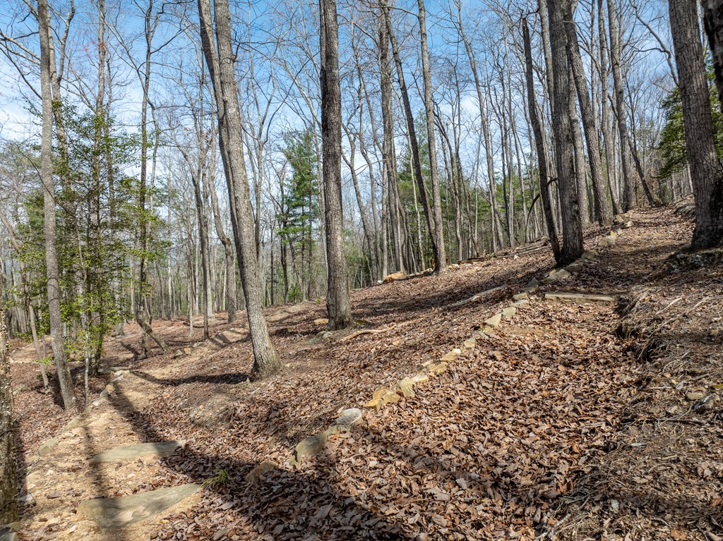 1181 Tickanetley Road