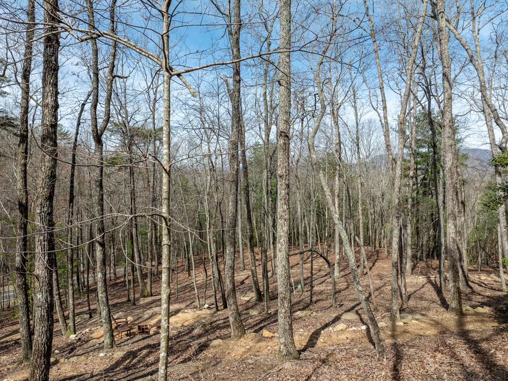 1181 Tickanetley Road