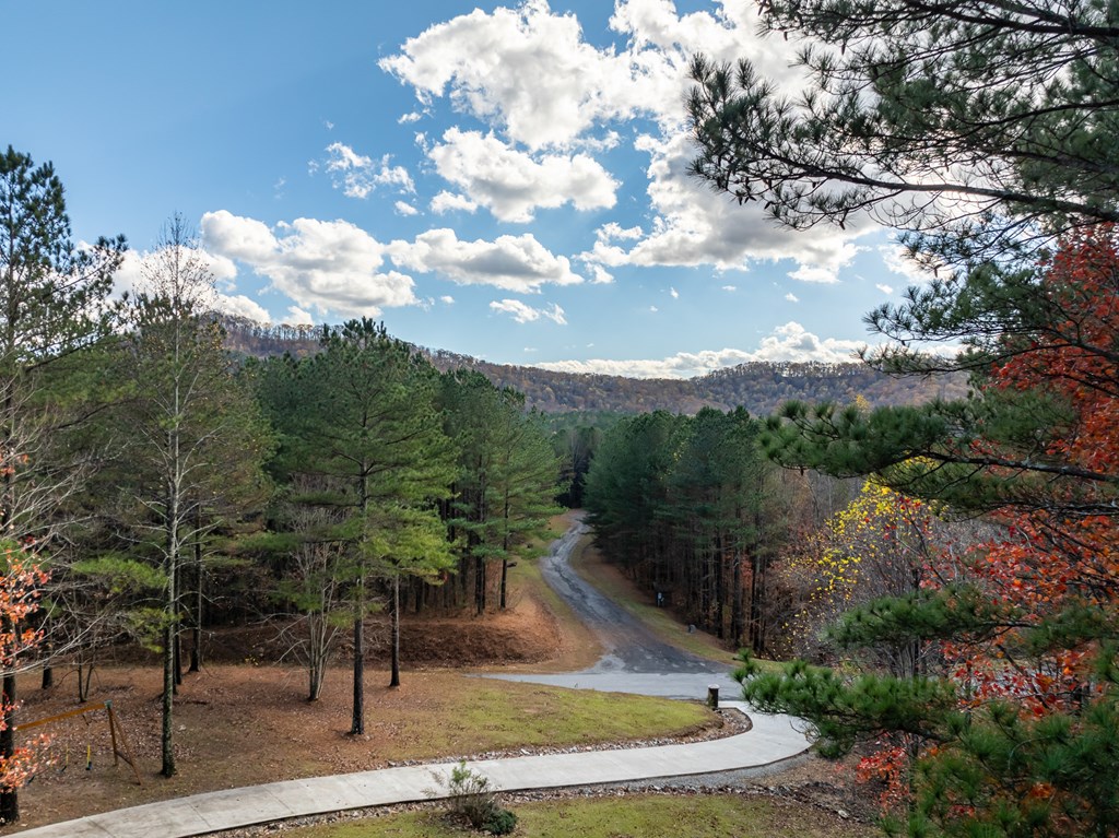 270 Black Bear Ridge Road