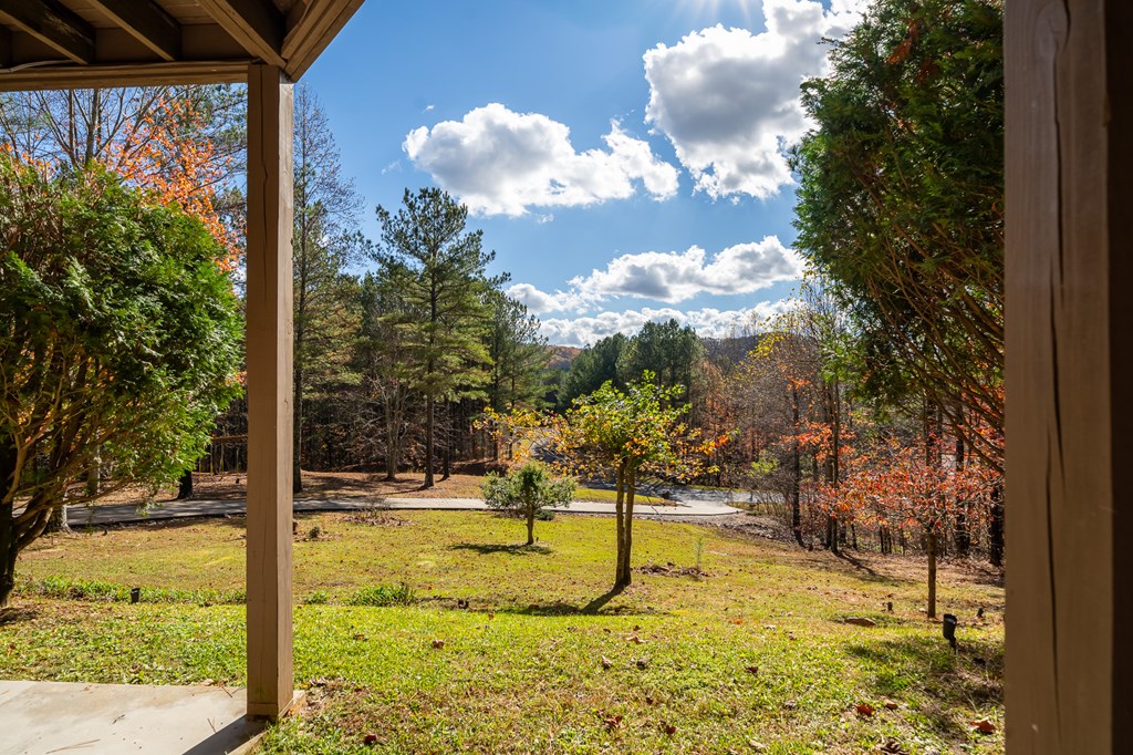 270 Black Bear Ridge Road