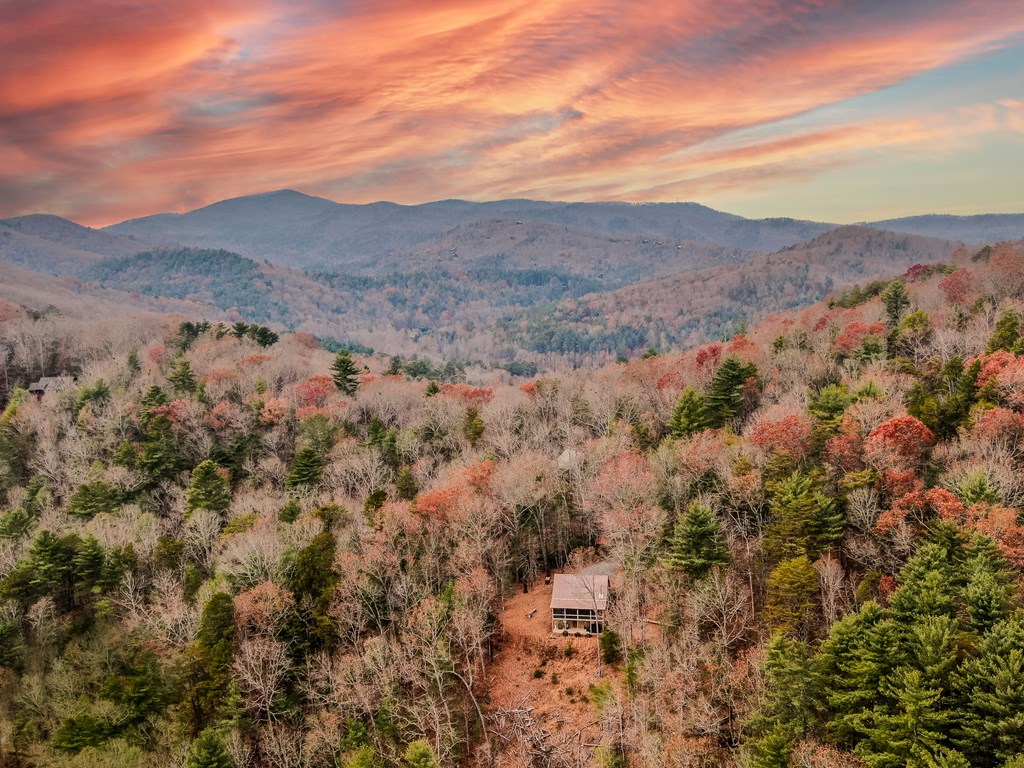 320 Little Creek Drive