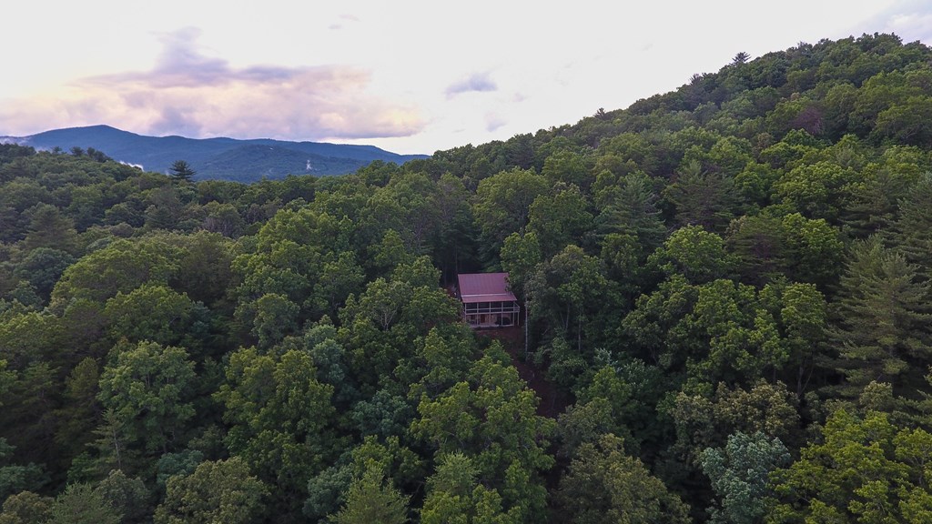 320 Little Creek Drive