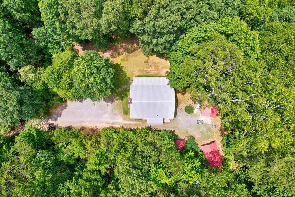 62 Peach Lane, Ellijay