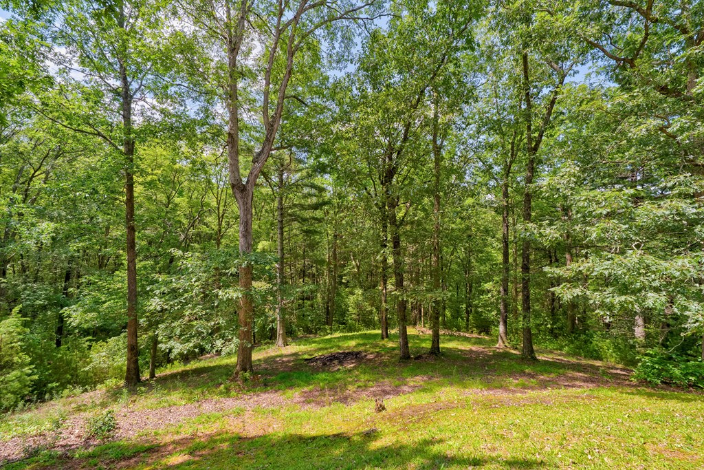 62 Peach Lane, Ellijay