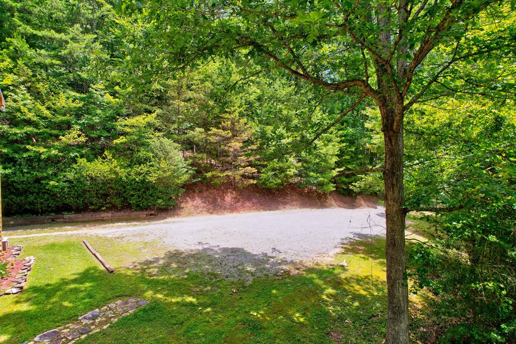 62 Peach Lane, Ellijay