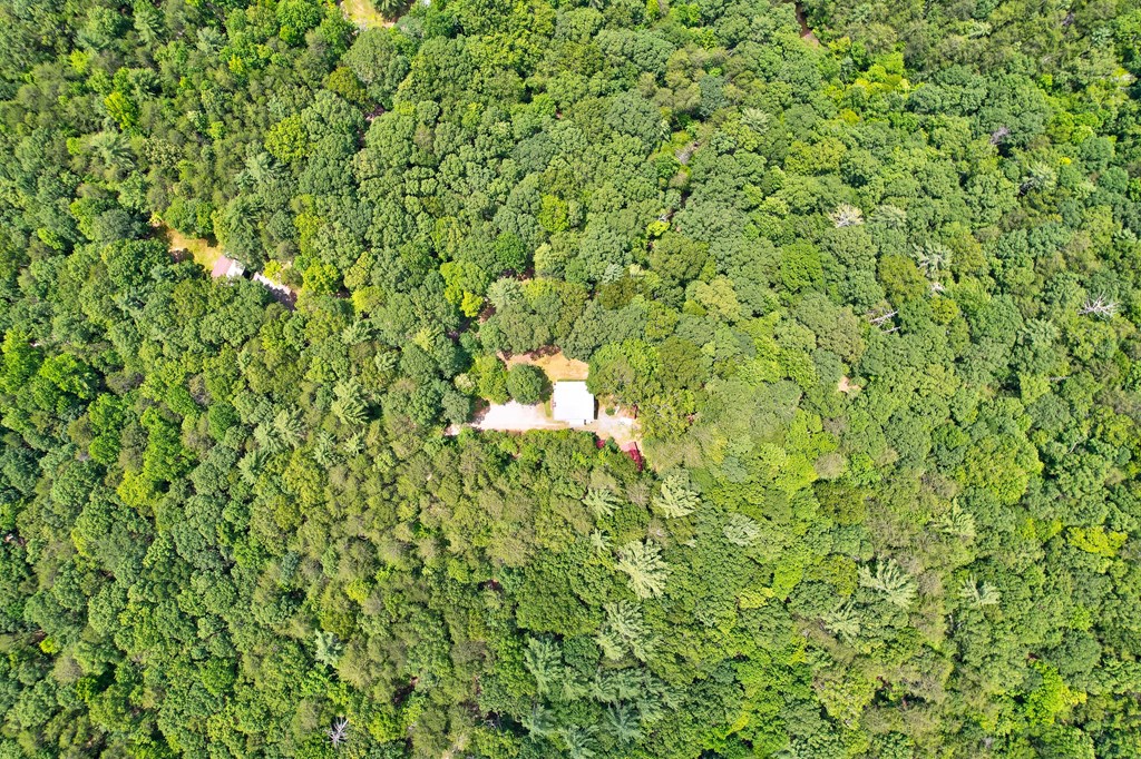 62 Peach Lane, Ellijay