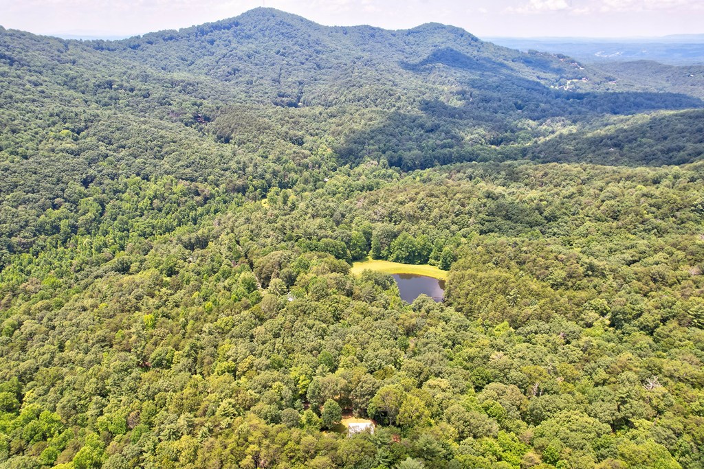 62 Peach Lane, Ellijay
