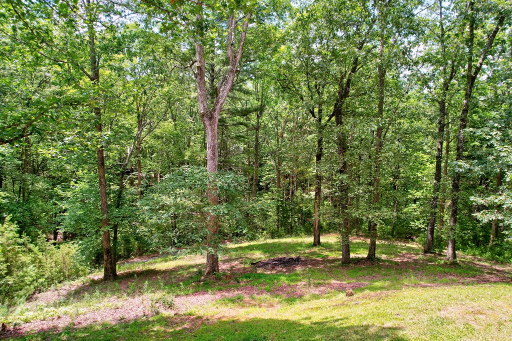 62 Peach Lane, Ellijay