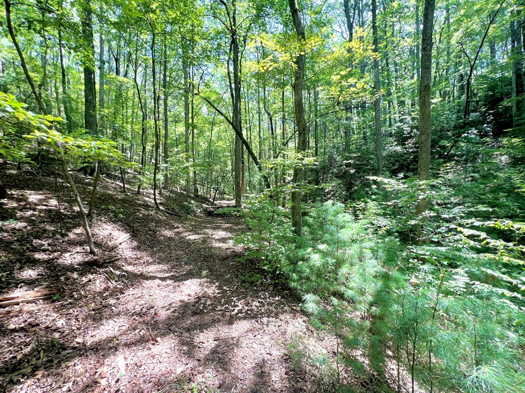 62 Peach Lane, Ellijay