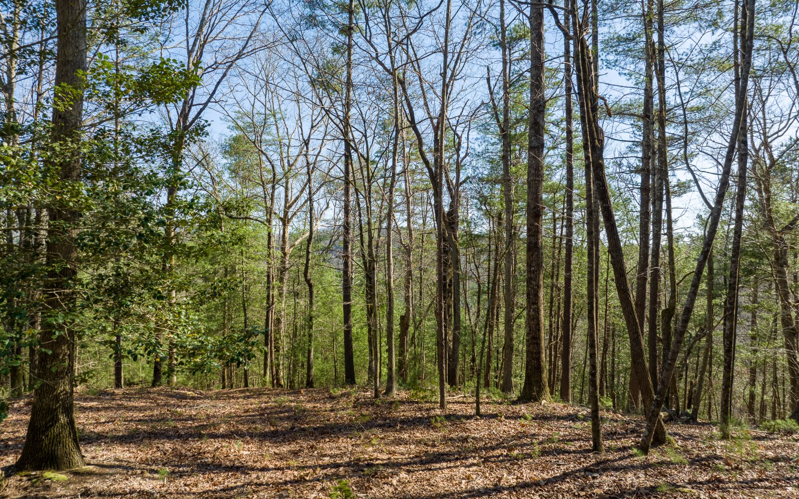 3+AC Coatopa Court
