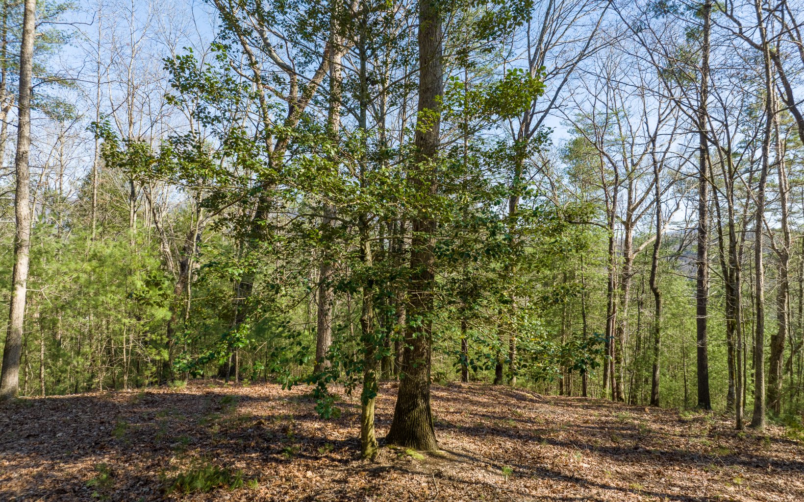 3+AC Coatopa Court