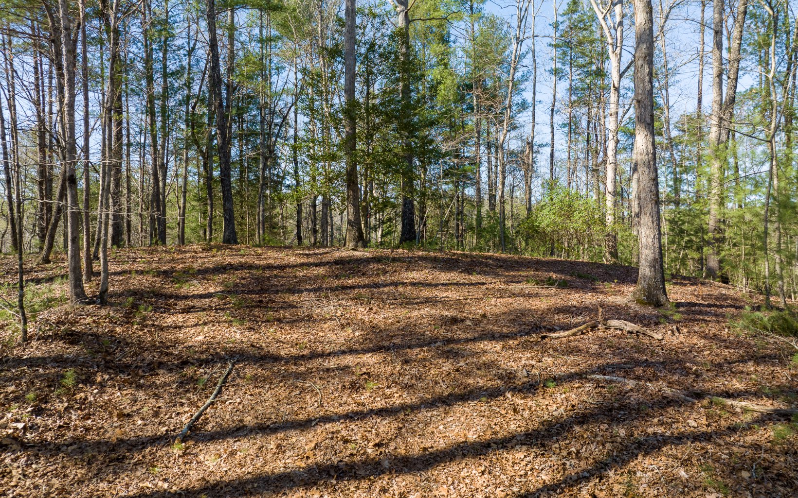 3+AC Coatopa Court
