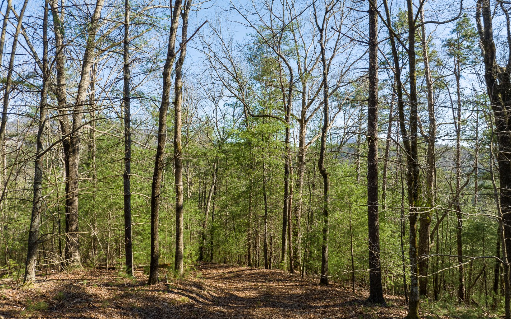 3+AC Coatopa Court