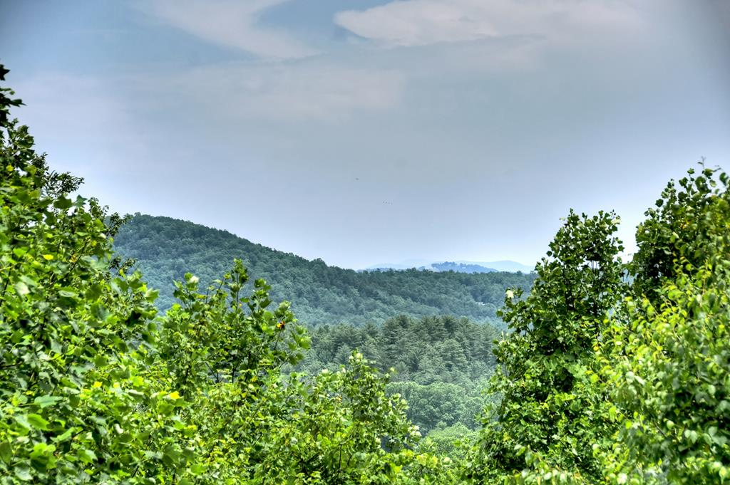 200 Dancing Leaves Trail