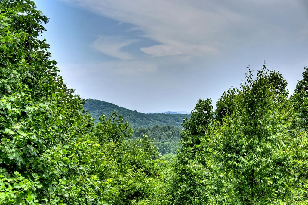 200 Dancing Leaves Trail