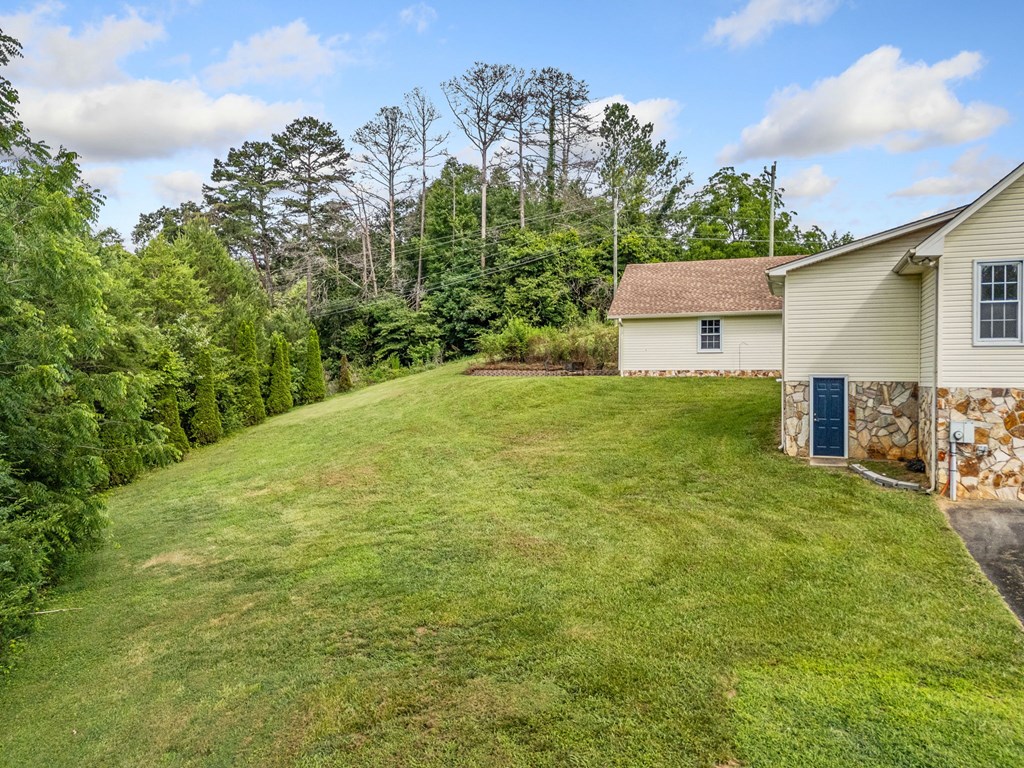 206 Piney Woods Drive