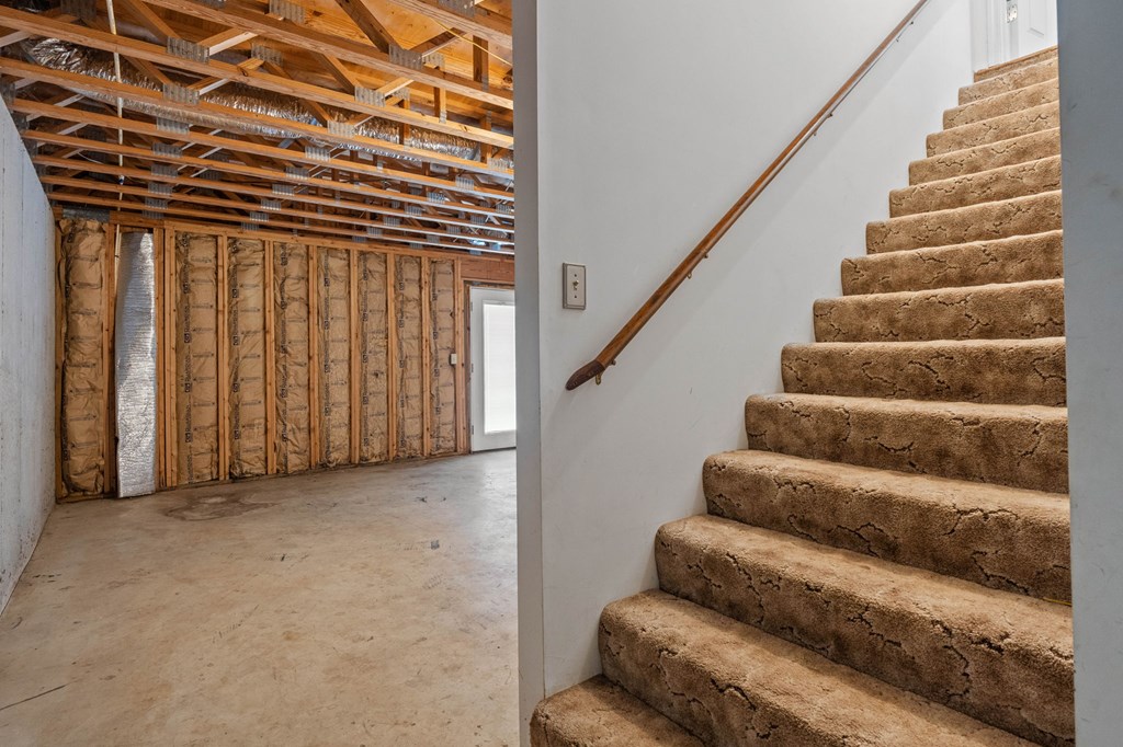 206 Piney Woods Drive