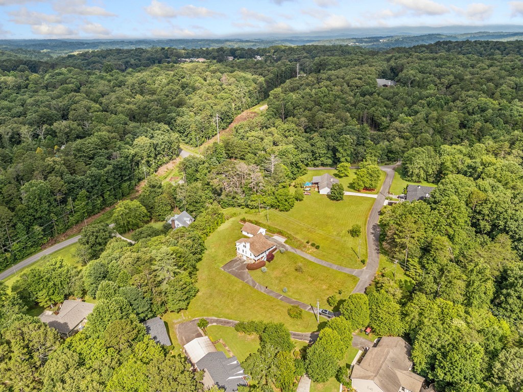 206 Piney Woods Drive