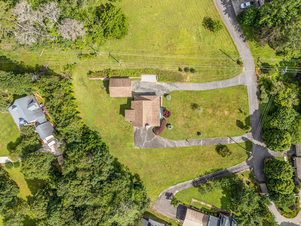 206 Piney Woods Drive