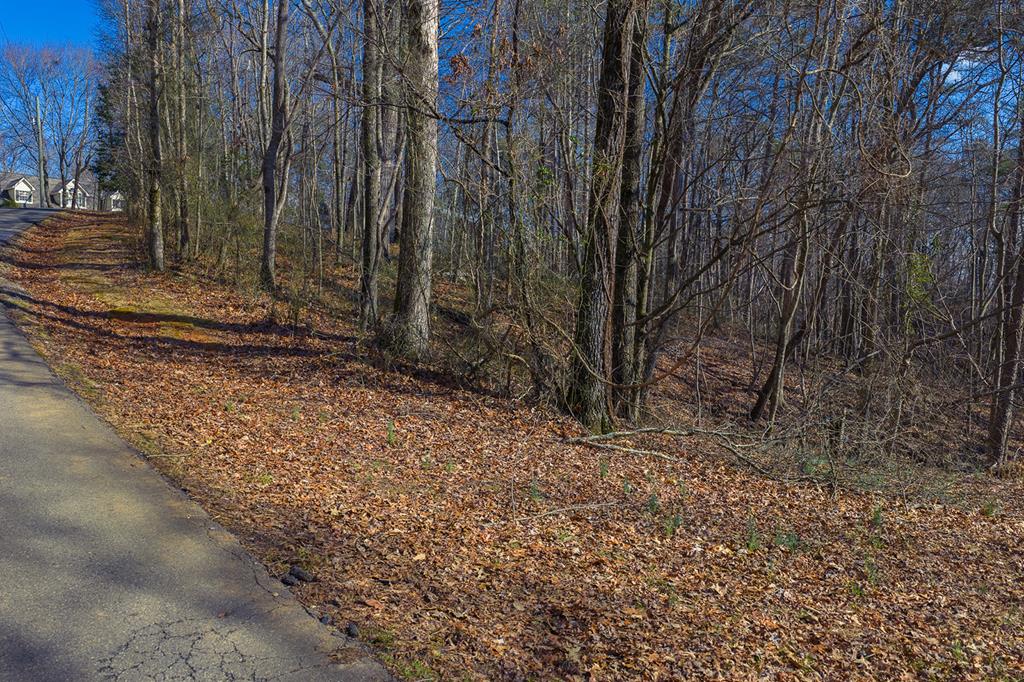 Lot 59 Timberwalk Drive