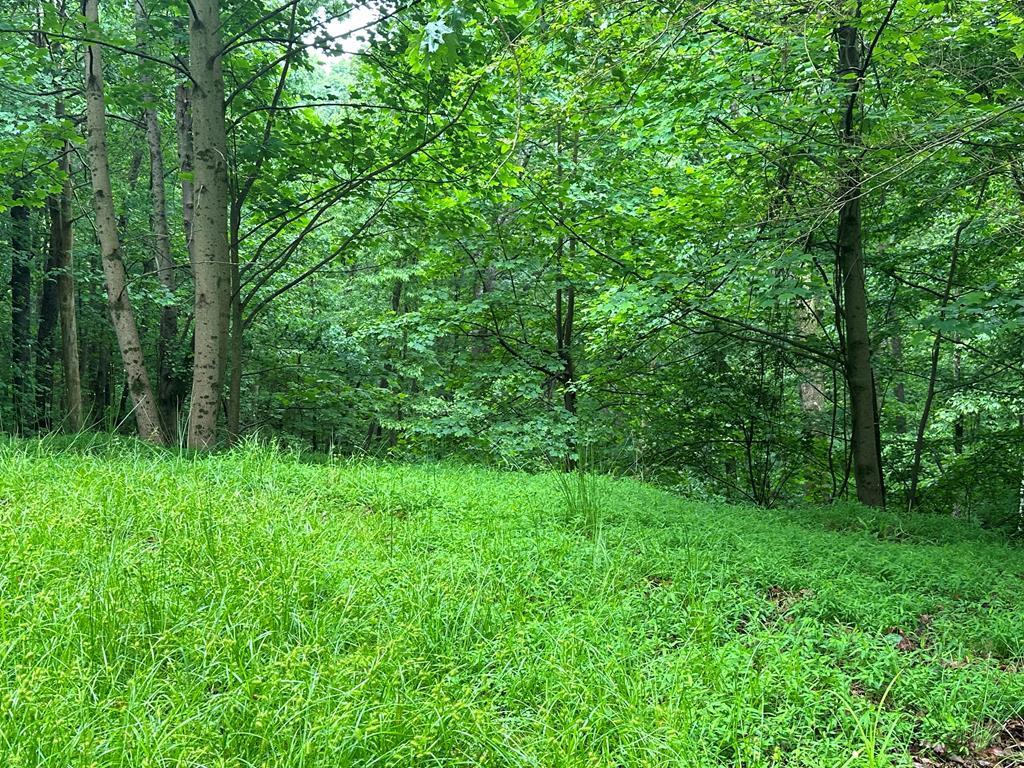 Lot 59 Timberwalk Drive
