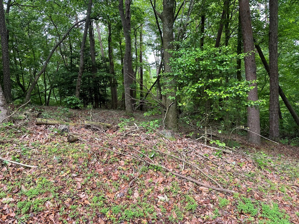 Lot 59 Timberwalk Drive