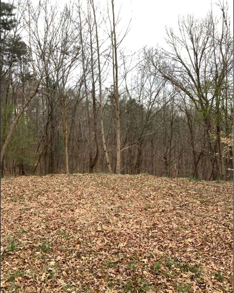 Lot 59 Timberwalk Drive