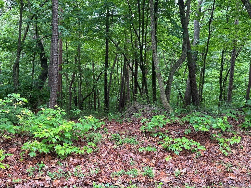 Lot 59 Timberwalk Drive