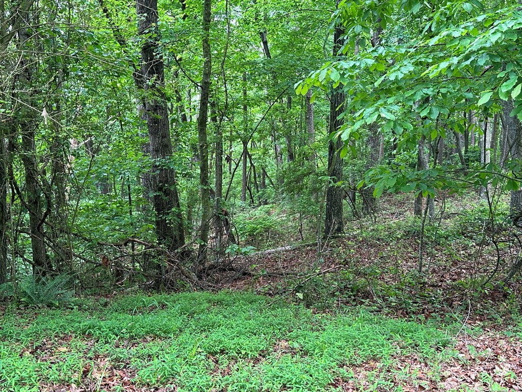 Lot 59 Timberwalk Drive