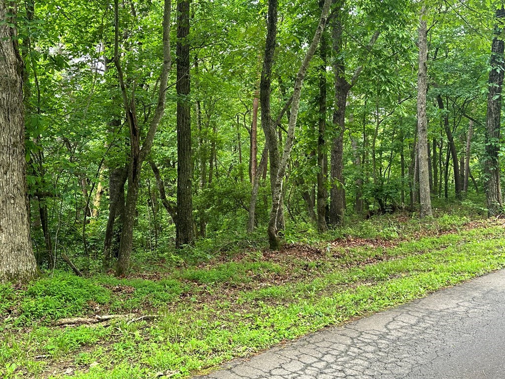 Lot 59 Timberwalk Drive