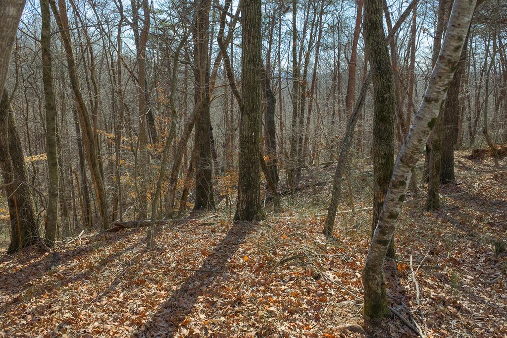 Lot 59 Timberwalk Drive