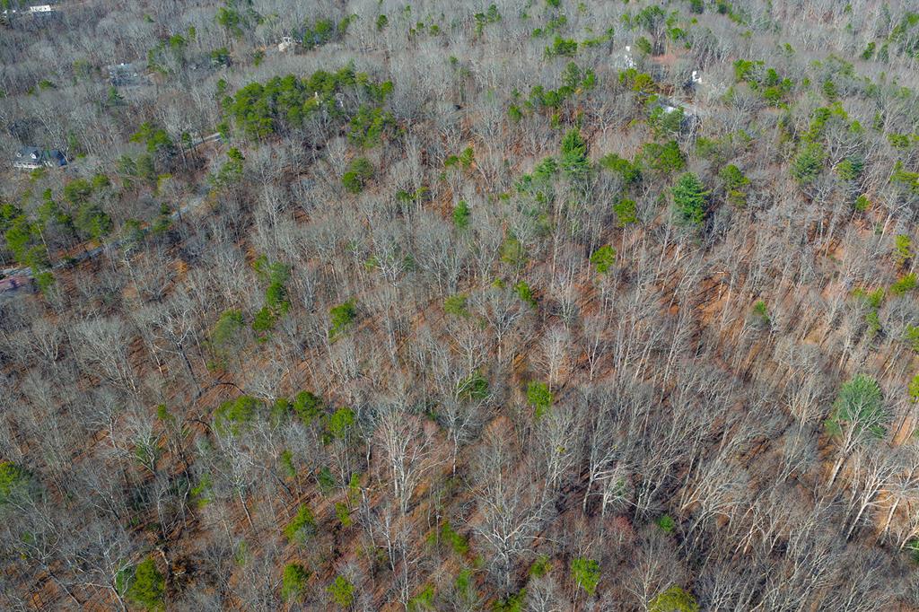 Lot 59 Timberwalk Drive