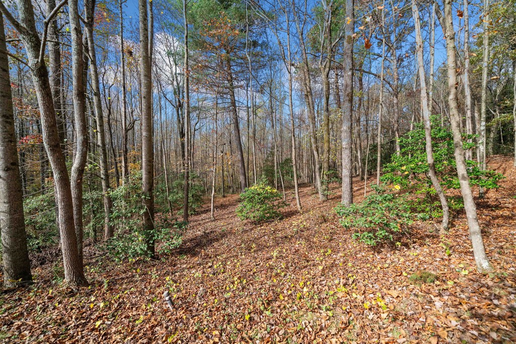 Lot 15 Highpoint Ridge Court