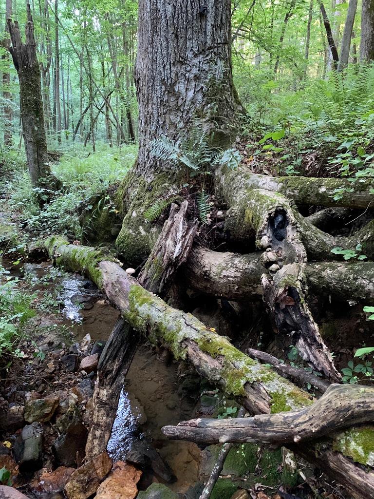 Lot 7 Highpoint Ridge Road