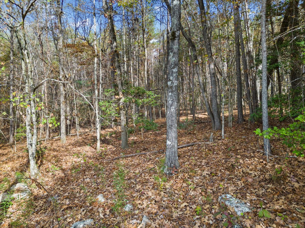 Lot 8 Highpoint Ridge Road
