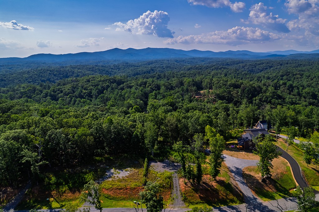 121 Jakes Landing Drive