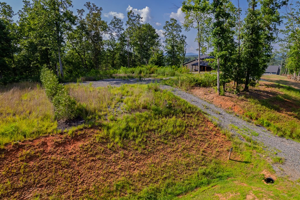 121 Jakes Landing Drive