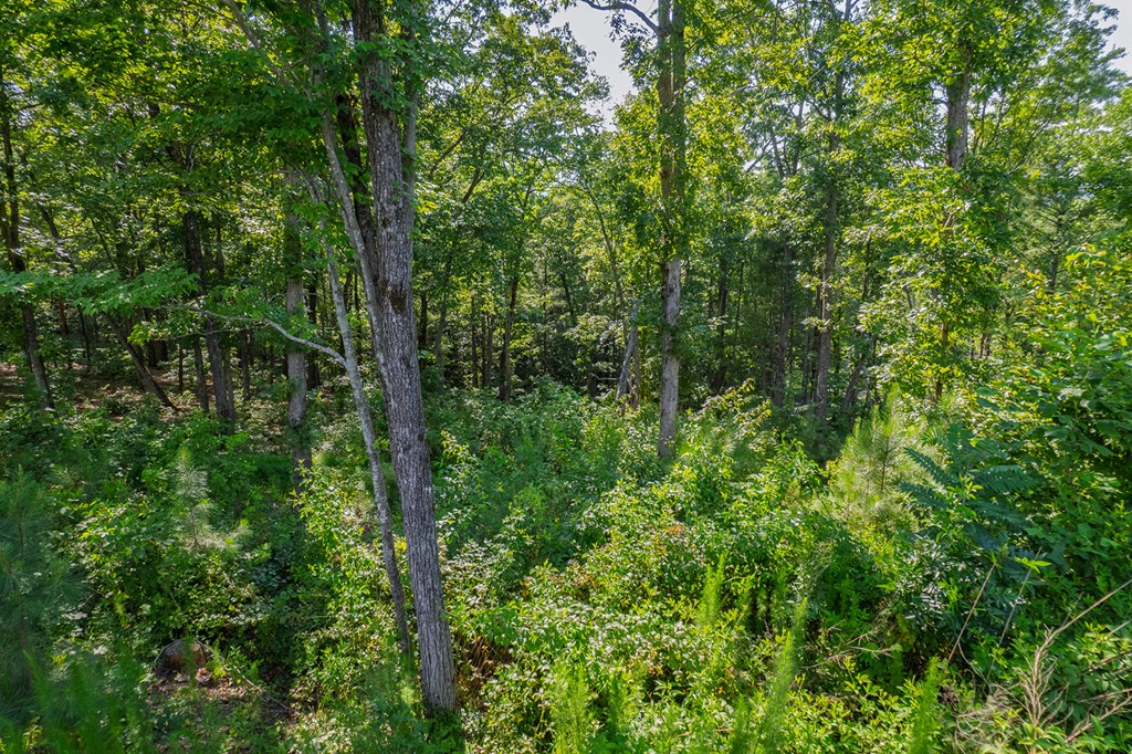 121 Jakes Landing Drive
