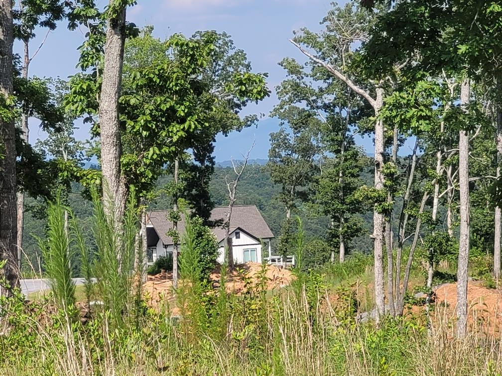 121 Jakes Landing Drive
