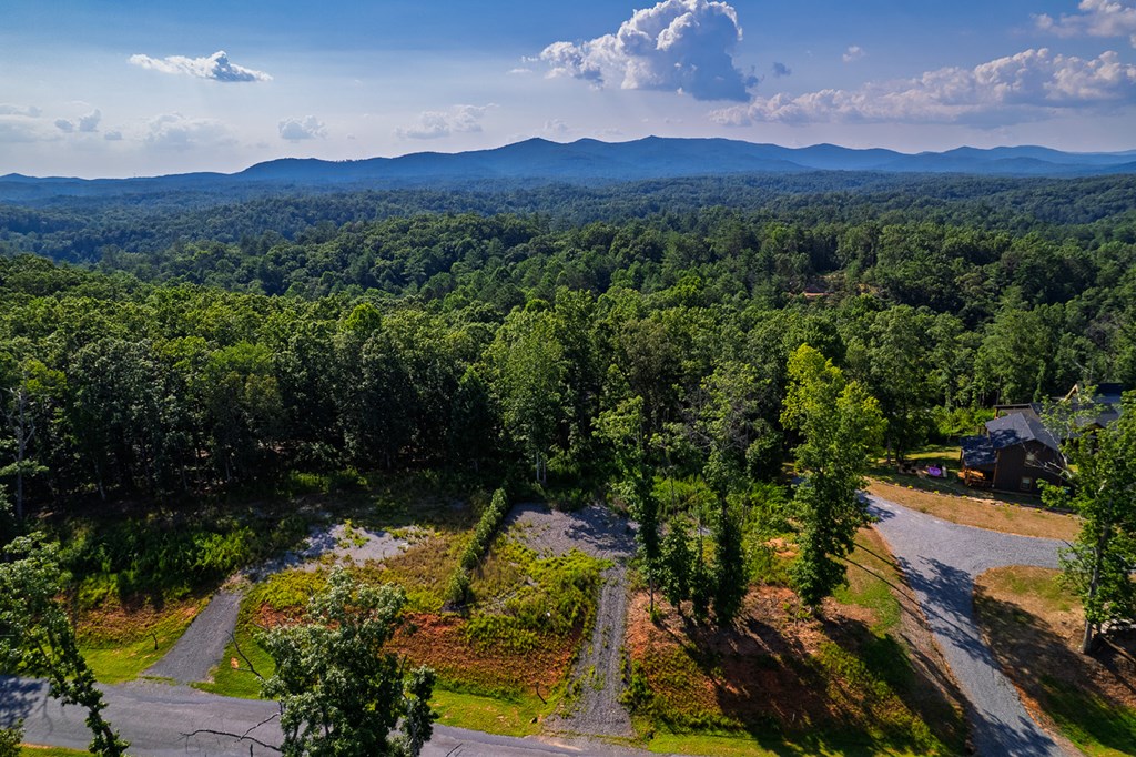 121 Jakes Landing Drive
