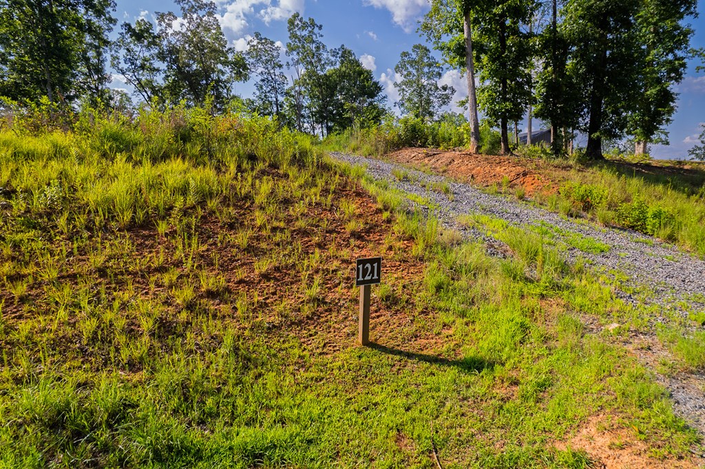 121 Jakes Landing Drive