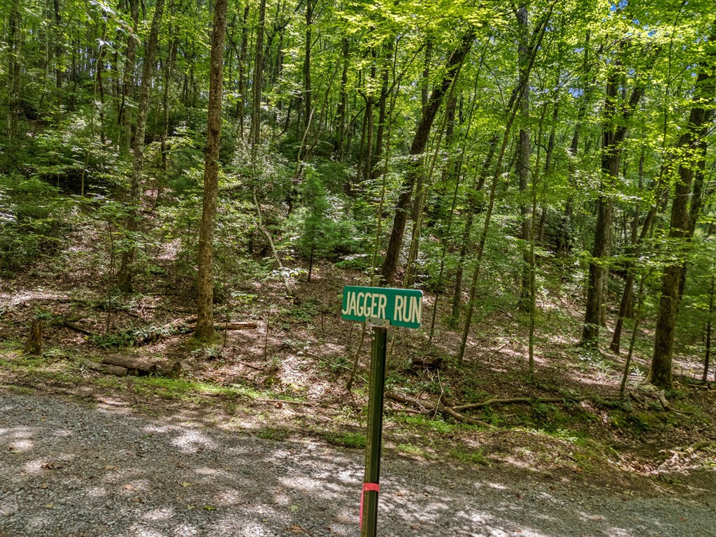 0 Jagger Run