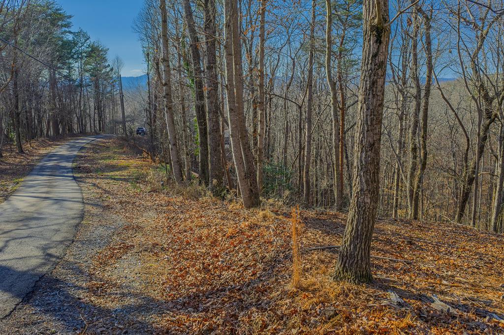Lot 40 Timberwalk Drive